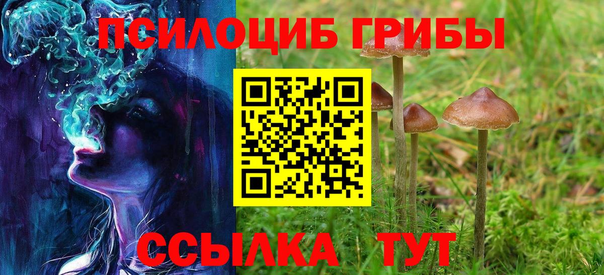 Псилоцибиновые грибы Magic Shrooms Междуреченск
