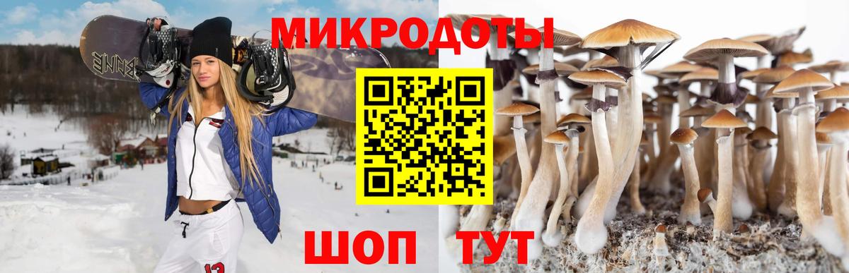 Галлюциногенные грибы Psilocybine cubensis  Вход с VPN  Междуреченск 